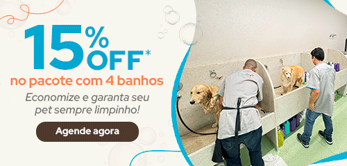 Pet Anjo