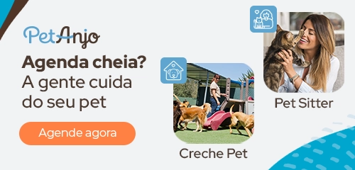 Pet Anjo