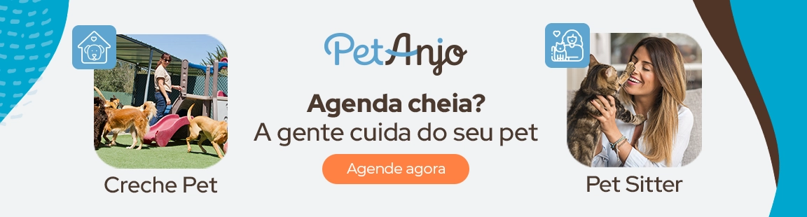 Pet Anjo