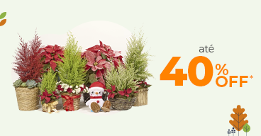 15/12  Jardim Natalino