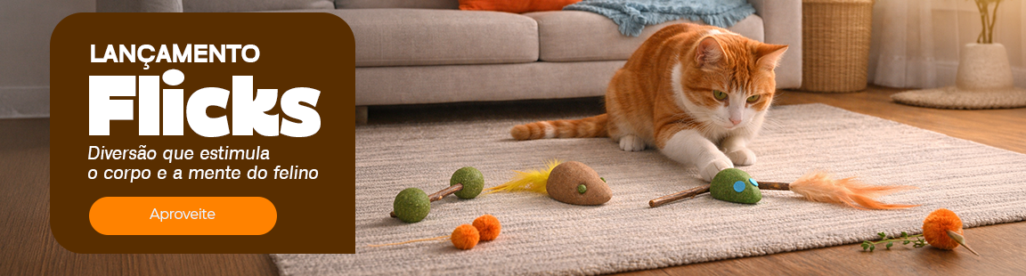 Lançamento Flicks