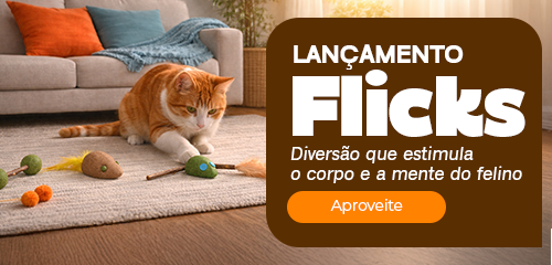 Lançamento Flicks