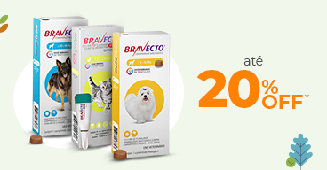 01/06  Bravecto