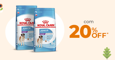 19/10 Royal