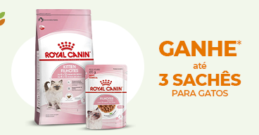 31/08 Ração Royal Canin