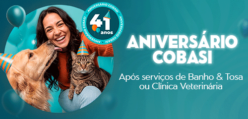 Pet Anjo