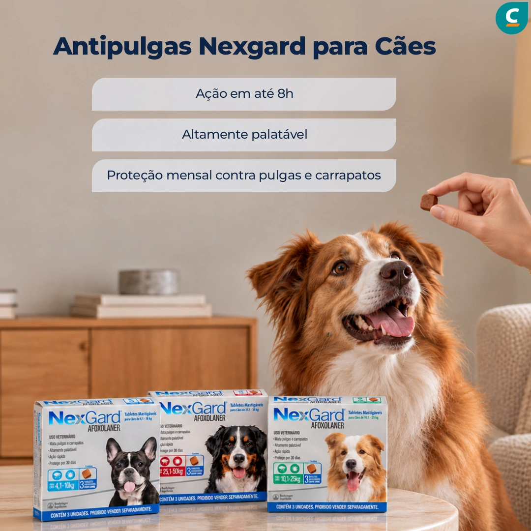  antipulgas nexgard para cães