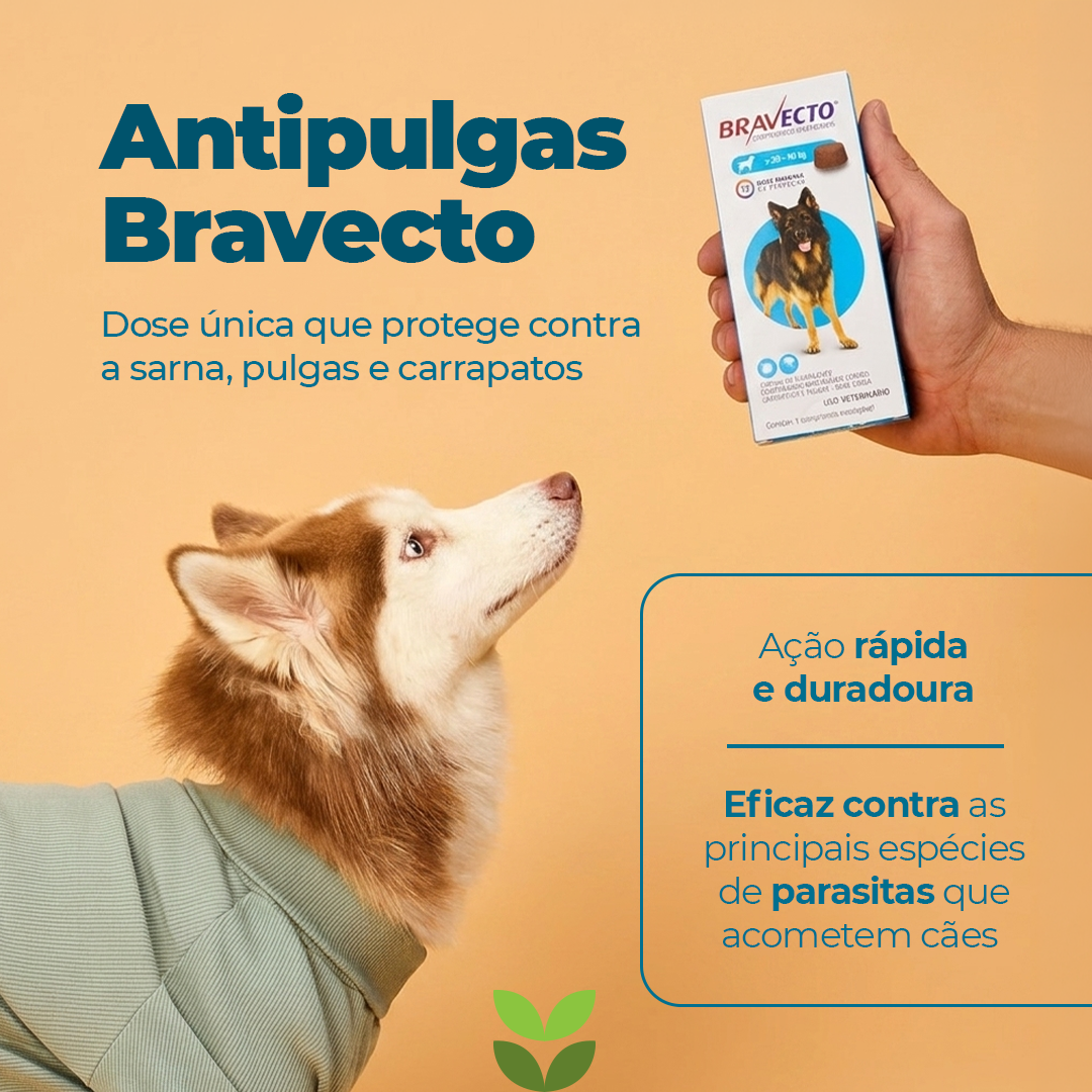 Bravecto 20 a 40 kg
