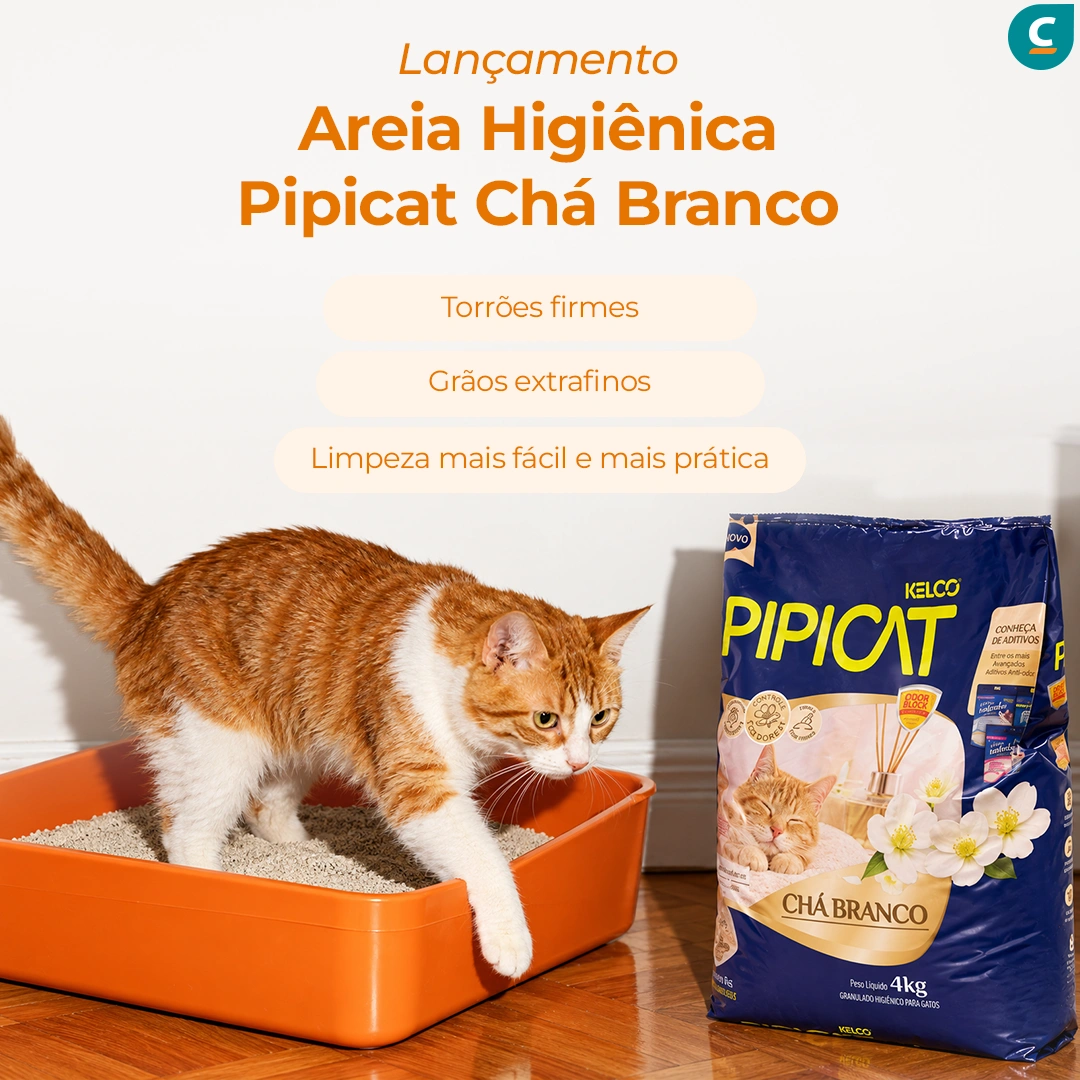 areia pipicat cha branco