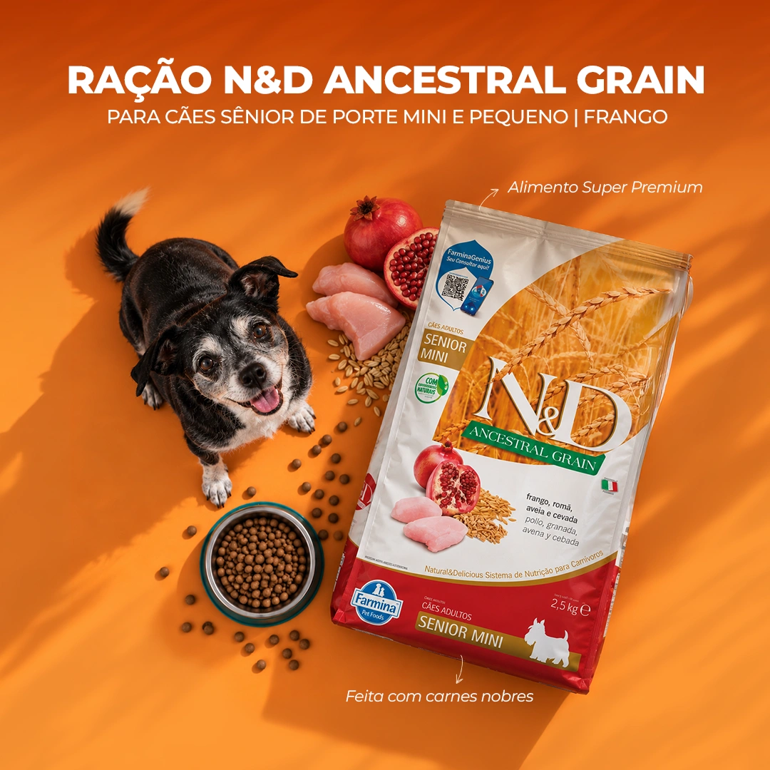 Racao ND Ancestral Grain Caes Senior