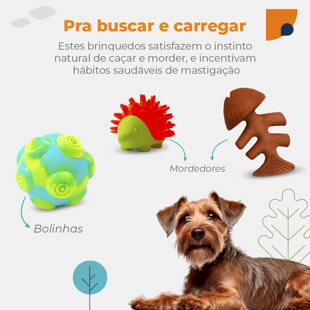Buscar e carregar