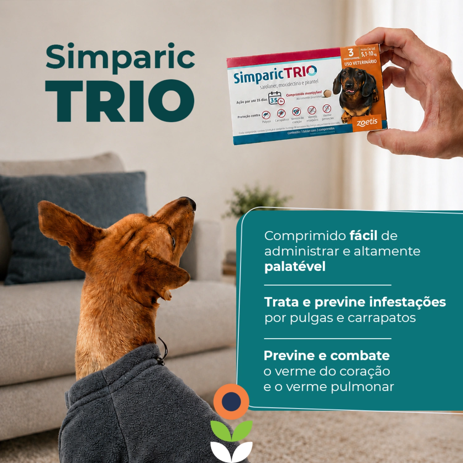 Simparic Trio 12mg para Cães 5,1 a 10kg